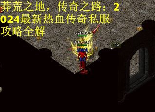 莽荒之地，传奇之路：2024最新热血传奇私服攻略全解