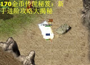 170金币传世秘笈：新手进阶攻略大揭秘