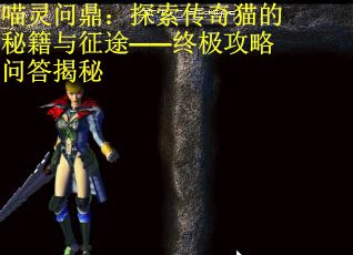 喵灵问鼎：探索传奇猫的秘籍与征途——终极攻略问答揭秘