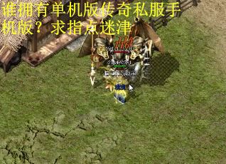 谁拥有单机版传奇私服手机版？求指点迷津