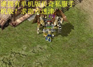 谁拥有单机版传奇私服手机版？求指点迷津