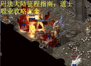 玛法大陆征程指南：道士职业攻略大全