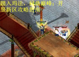 踏入玛法，问鼎巅峰：开服新区攻略指南