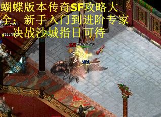 蝴蝶版本传奇SF攻略大全：新手入门到进阶专家，决战沙城指日可待