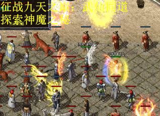 征战九天之巅：武仙同道探索神魔之秘