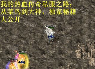 我的热血传奇私服之路：从菜鸟到大神，独家秘籍大公开