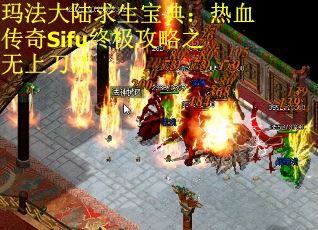玛法大陆求生宝典：热血传奇Sifu终极攻略之无上刀法