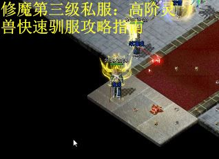 修魔第三级私服：高阶灵兽快速驯服攻略指南