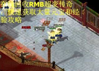 在线回收RMB超变传奇：快速获取大量元宝和经验攻略