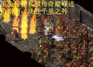 玉兔秘籍私服传奇巅峰进阶指南：决胜千里之外