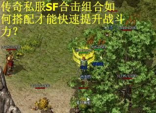 传奇私服SF合击组合如何搭配才能快速提升战斗力？