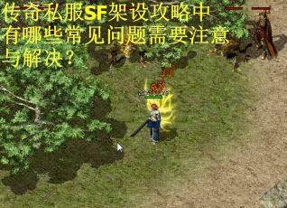 传奇私服SF架设攻略中有哪些常见问题需要注意与解决？