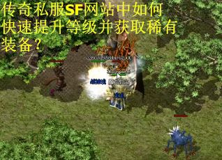 传奇私服SF网站中如何快速提升等级并获取稀有装备？