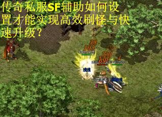 传奇私服SF辅助如何设置才能实现高效刷怪与快速升级？