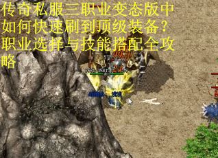 传奇私服三职业变态版中如何快速刷到顶级装备？职业选择与技能搭配全攻略