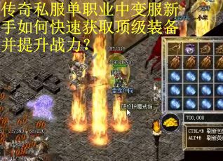 传奇私服单职业中变服新手如何快速获取顶级装备并提升战力？