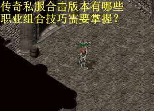 传奇私服合击版本有哪些职业组合技巧需要掌握？