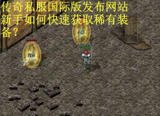 传奇私服国际版发布网站新手如何快速获取稀有装备？