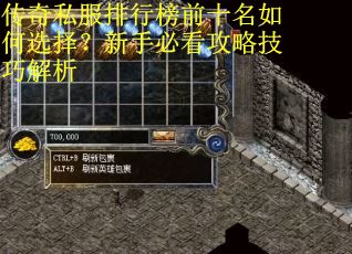 传奇私服排行榜前十名如何选择？新手必看攻略技巧解析