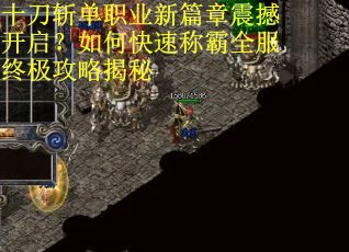 十刀斩单职业新篇章震撼开启？如何快速称霸全服终极攻略揭秘