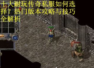 十大耐玩传奇私服如何选择？热门版本攻略与技巧全解析