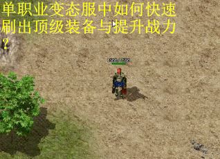 单职业变态服中如何快速刷出顶级装备与提升战力？