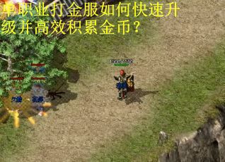 单职业打金服如何快速升级并高效积累金币? 单职业打金服如何快速升级并高效积累金币?