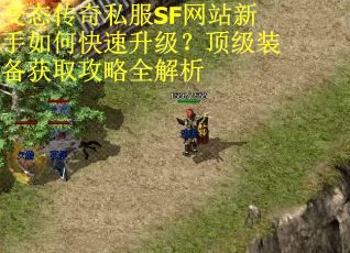 变态传奇私服SF网站新手如何快速升级？顶级装备获取攻略全解析