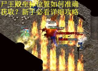 尸王殿坐标位置如何准确获取？新手必看详细攻略