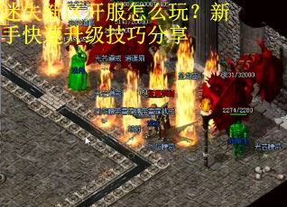 迷失新区开服怎么玩?新手快速升级技巧分享 迷失新区开服怎么玩?新手快速升级技巧分享