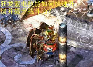 狂龙紫电技能如何快速升级并提升战斗力？