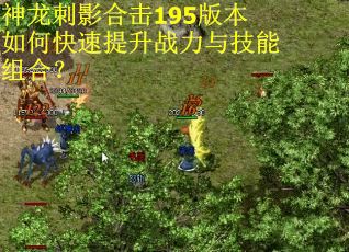 神龙刺影合击195版本如何快速提升战力与技能组合? 神龙刺影合击195版本如何快速提升战力与技能组合?