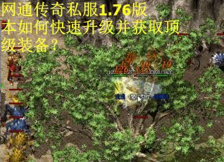 网通传奇私服1.76版本如何快速升级并获取顶级装备? 网通传奇私服1.76版本如何快速升级并获取顶级装备?