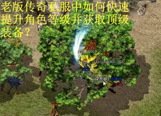 老版传奇私服中如何快速提升角色等级并获取顶级装备？