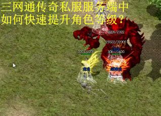三网通传奇私服服务端中如何快速提升角色等级？