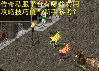 传奇私服平台有哪些实用攻略技巧值得新手参考？