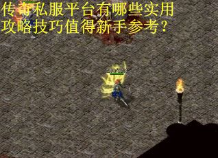 传奇私服平台有哪些实用攻略技巧值得新手参考？