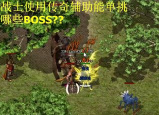 战士使用传奇辅助能单挑哪些BOSS??
