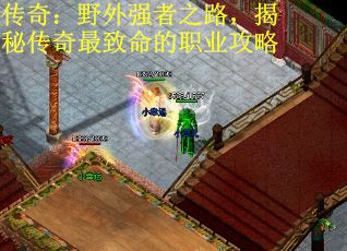 传奇：野外强者之路，揭秘传奇最致命的职业攻略