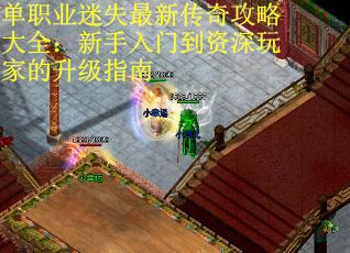 单职业迷失最新传奇攻略大全：新手入门到资深玩家的升级指南