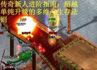 传奇新人进阶指南：超越单纯升级的多维度生存法则