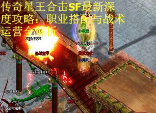 传奇星王合击SF最新深度攻略：职业搭配与战术运营全解析