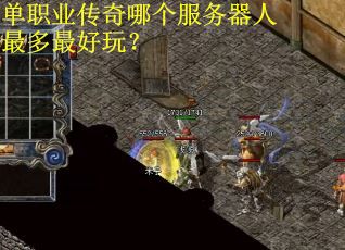 单职业传奇哪个服务器人最多最好玩？