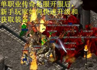 单职业传奇私服开服后，新手玩家如何快速升级和获取装备？