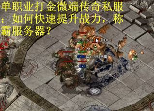 单职业打金微端传奇私服：如何快速提升战力，称霸服务器？