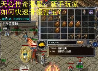 天心传奇私服：新手玩家如何快速升级打宝？