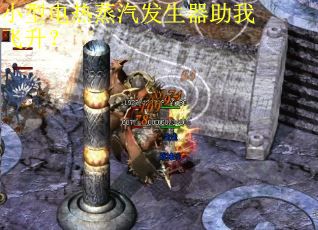 小型电热蒸汽发生器助我飞升？