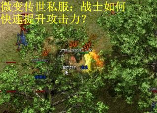 微变传世私服：战士如何快速提升攻击力？