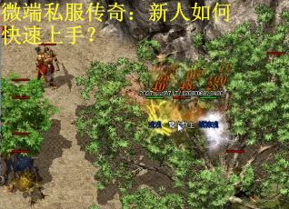 微端私服传奇：新人如何快速上手？
