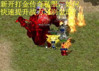 新开打金传奇私服，如何快速提升战力怒刷金币？